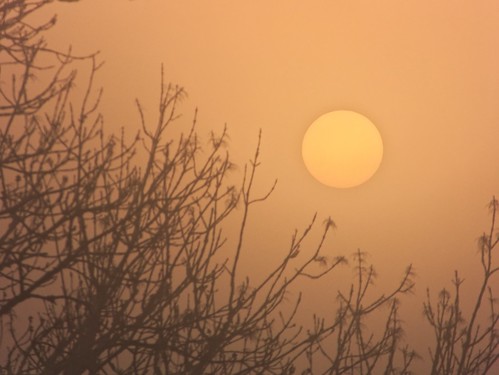 sky sun yellow fog sunrise landscape soleil brouillard brume siel