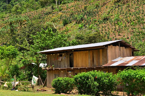 peru southamerica landscape rustic miraflores coffeeplantation northernandesfoothills altomayoreserve