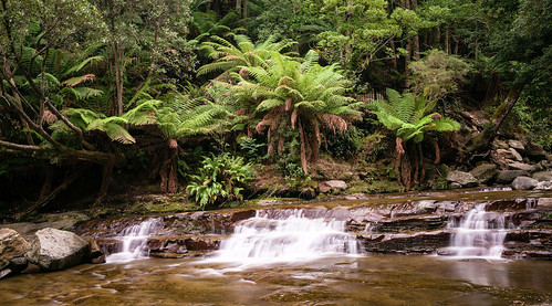 water creek river waterfall rocks stream australia falls liffey tasmania lower ferns cascade waterscape