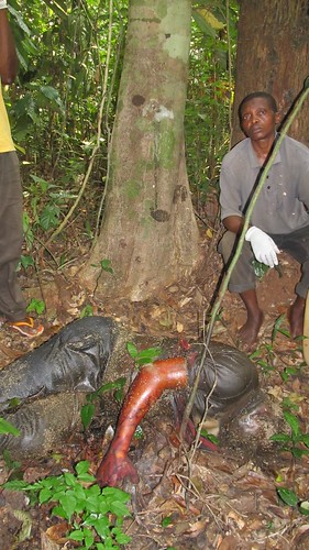 Kapere's body found, about to be returned to village _2013