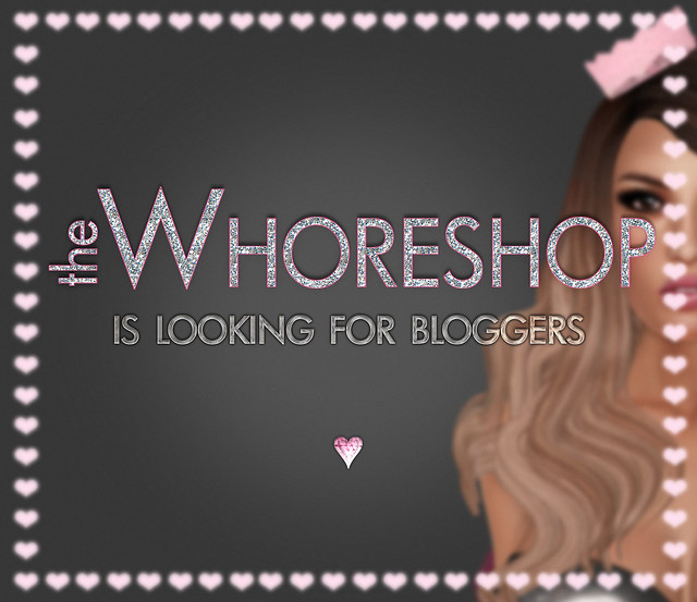{TWS} is Looking for Bloggers
