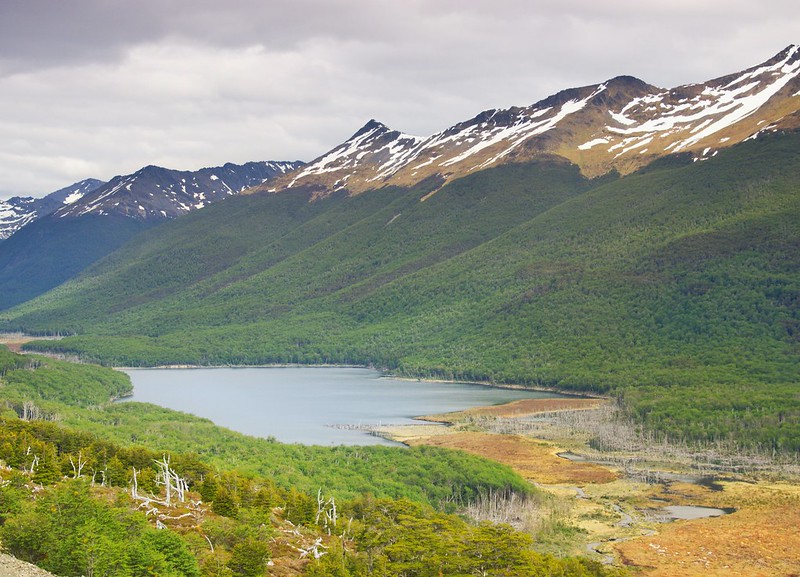 Parque Karukinka (Tierra del Fuego) - Por el sur del mundo. CHILE (23)