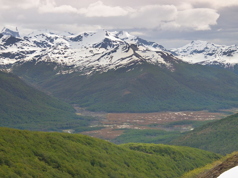 Parque Karukinka (Tierra del Fuego) - Por el sur del mundo. CHILE (22)