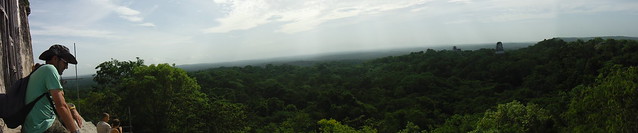 Vistes de Tikal des de dalt de tot de la piràmide.