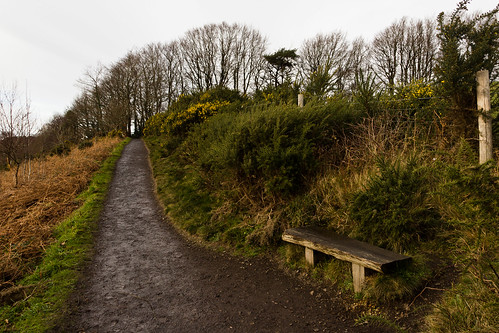 trees winter england fence bench outdoors nationalpark path seat devon bracken footpath dartmoor greysky gorse drogo hunterspath