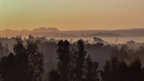 trees mountains fog sunrise ethiopia morningmist amhara axsum