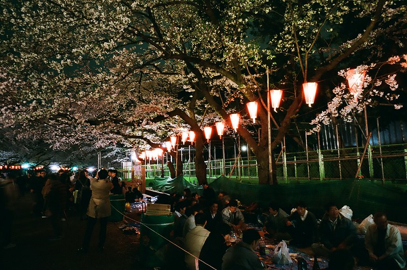 上野公園の夜桜 by RICOH GR1s 2016年4月4日