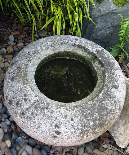 The Japanese garden at the Washington State University 'Discovery Garden'