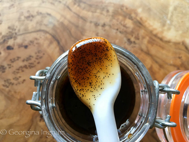 Georgina Ingham Culinary Travels - Photograph Homemade Vanilla Paste