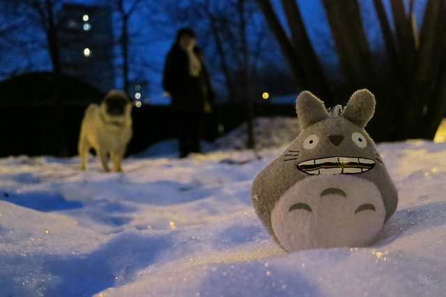 Day #52: totoro will find a new friend in a minute