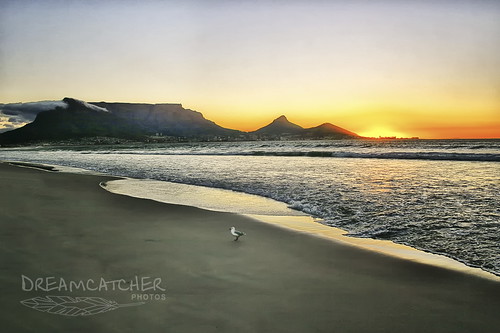 sunset red sea orange beach seagull wave naturalwonder tablemountain dreamcatcherphotos