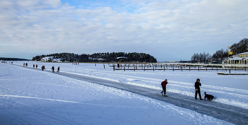 winter sea snow ice nature woodland suomi finland landscape outdoor january balticsea shore archipelago naantali tamronspaf1750mmf28xrdiiildasphericalif icecover
