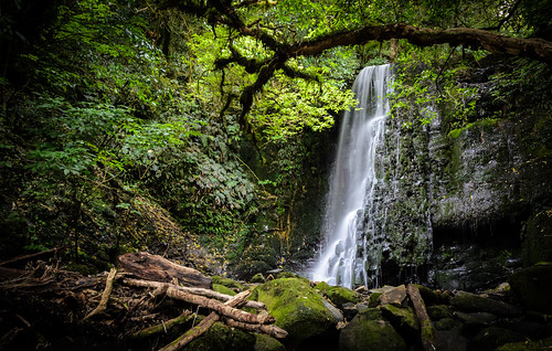 wood newzealand green nature waterfall nikon long exposure forrest ngc falls filter catlins wald neuseeland matai 2015 nd64 waserfall d7000 nikonflickaward