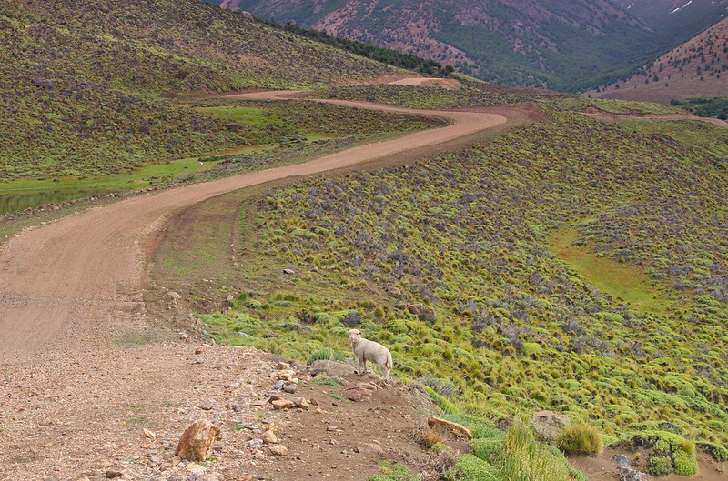 La Ruta 41 De Santa Cruz: Monte Ceballos / Zeballos (dic-2012) - Por la Patagonia ARGENTINA (12)