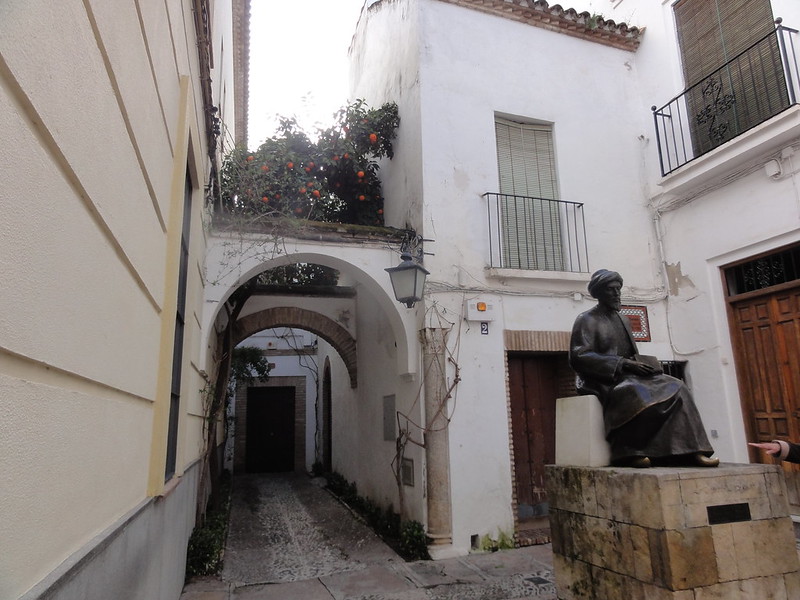 Recorriendo Andalucía. - Blogs de España - Córdoba capital (1): Judería, Alcázar de los Reyes Cristianos y callejeo. (18)