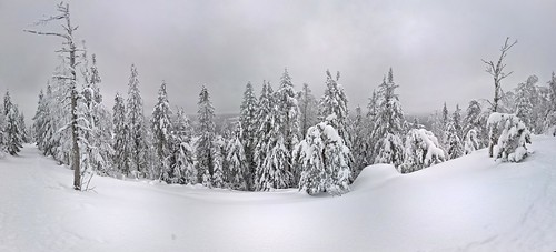 winter panorama white snow suomi finland landscape microsoft talvi akka koli lumia950