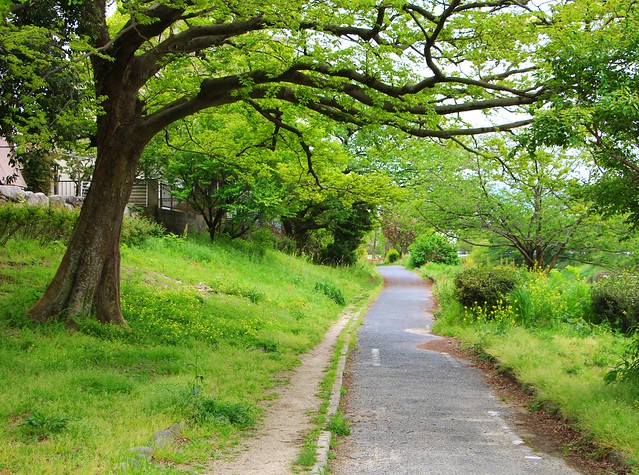 Walk along Nakagawa