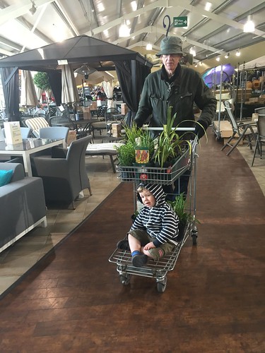 Plant shopping
