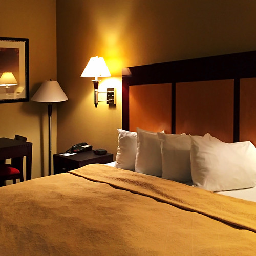usa hotel bed lodging alabama motel tuscaloosa inside qualityinn