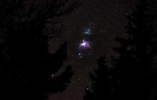 trees winter sky snow night stars mark astro nebula astrophotography orion universe constellation manningpark orionnebula equatorialmount markdonovan skywatcherstaradventurer