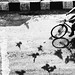 Underneath we are limitless. #shadow #streetphotography  #phonephotography #photography #india #indiastreet #birds #bicycle #positiveliving #positivevibes #incredibleindia #delhidiaries #delhigram