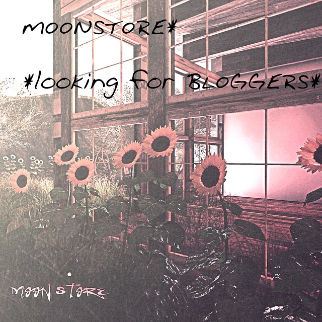 MOONSTORE LOOKING FOR BLOGGERS