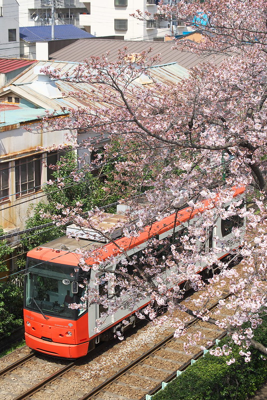 Tokyo Train Story 都電荒川線 2016年3月31日