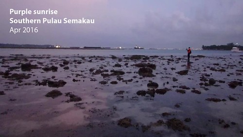 Purple sunrise over Pulau Semakau South