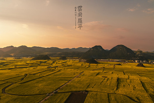 china travel sunset flower yellow spring nikon asia farmland yunnan 日落 canola 中國 rapeseed 油菜花 luoping 雲南 羅平 金鸡峰丛