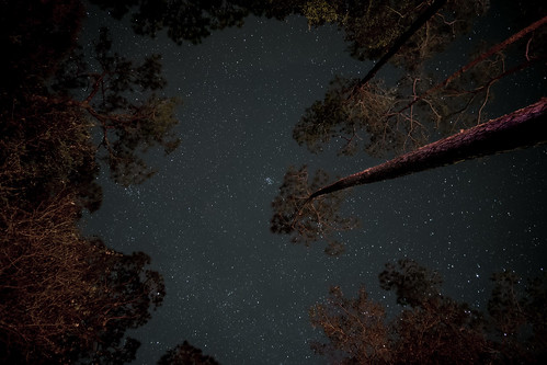 camping stars florida campfire astrophotography sebring pleiades 30seconds highlandshammockstatepark 3200iso fujixt1 rokinon12mm20