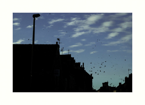 blue sky france noir façades bluesky bleu normandie soir extérieur vue nocturne paysages calvados oiseaux eure ciels ombres toits cheminées bâtiments nuageux corbeaux antennes photosderue