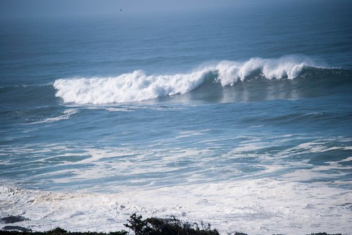 Wind and Waves - The Oregon Coast