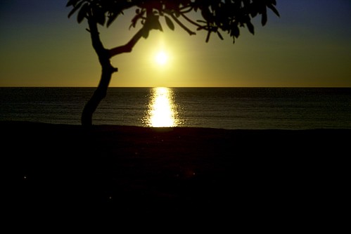 sunset sun tree beach water night philippines nightshoot