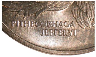 1983 Philippines 50-sentimo coin closeup