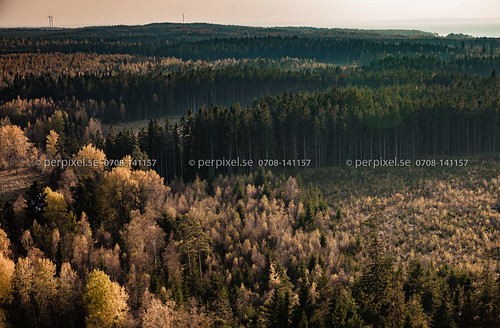 3 natur skog sverige örebro swe kalhygge flygfoto åtorp stensäng