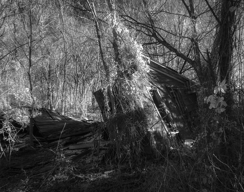 collapse shadows winter infrared brokeneverything monochrome weathered abandonedhouse baretrees barewood