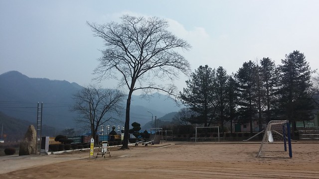 화북초등학교-야생화동산
