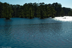 Greenfield lake 5_HDR2