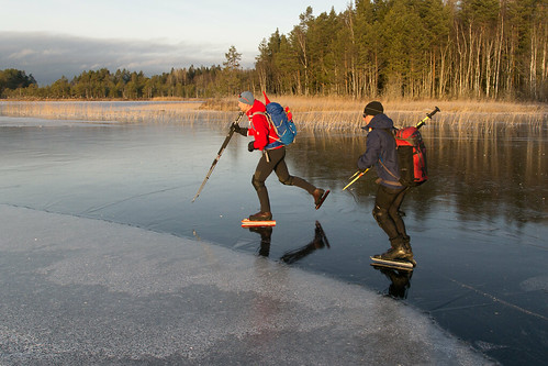 winter ice nature sweden skating skate sverige 2015 gästrikland långfärdsskridsko hamrånge
