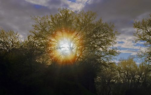 light sun sunlight tree nature clouds sunrise soleil lumière nuages arbre contrejour rayons nuances solaires