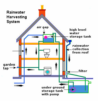 How to plan your rainwater harvesting system — Ananas