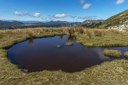 newzealand water landscape pond sony nz southisland tasman tarn tramping tramp 2016 kahuranginationalpark tasmannz matiri 1000acreplateau 100acreplateau sonya6000 janetteasche matiriplateau devilsdiningtable