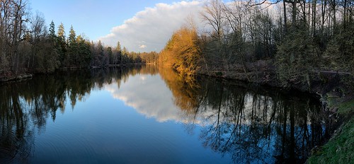 lake tree see abend spring wasser stuttgart landschaft sonne spiegelung baum frühling badenwürttemberg bärensee