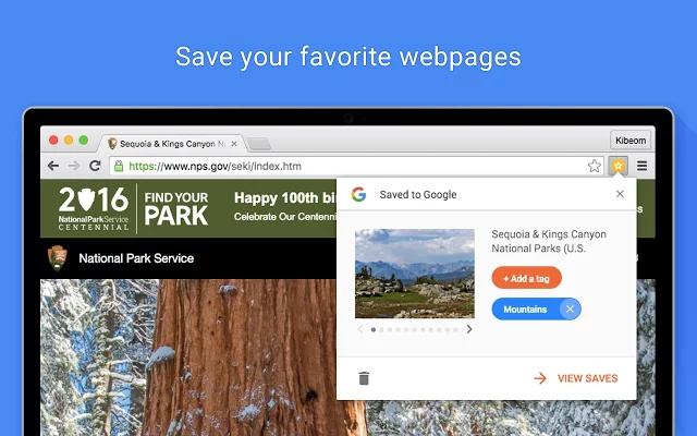 save_web_pages_to_google