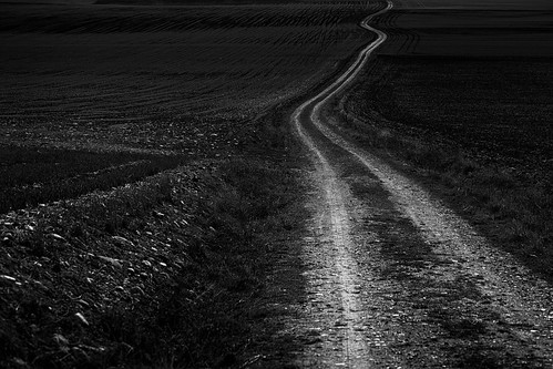 road blackandwhite nature dark landscape darkness path bnw