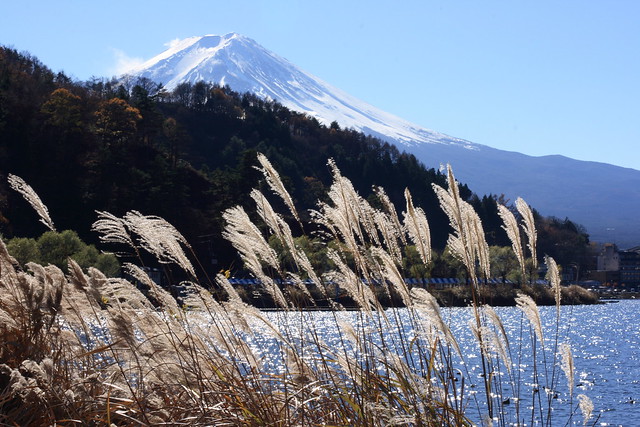 Views of Mt Fuji