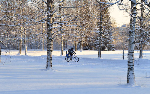 trees winter cold nature bike suomi finland landscape nikon frost cyclist coldweather talvi maisema winterwonderland luonto nikond3200 pyöräilijä pakkanen d3200