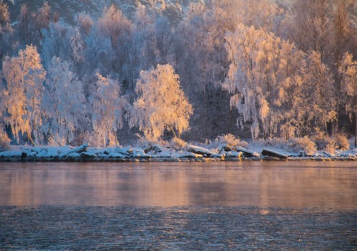 winter snow cold ice water norway river frost fredrikstad gressvik kråkerøy