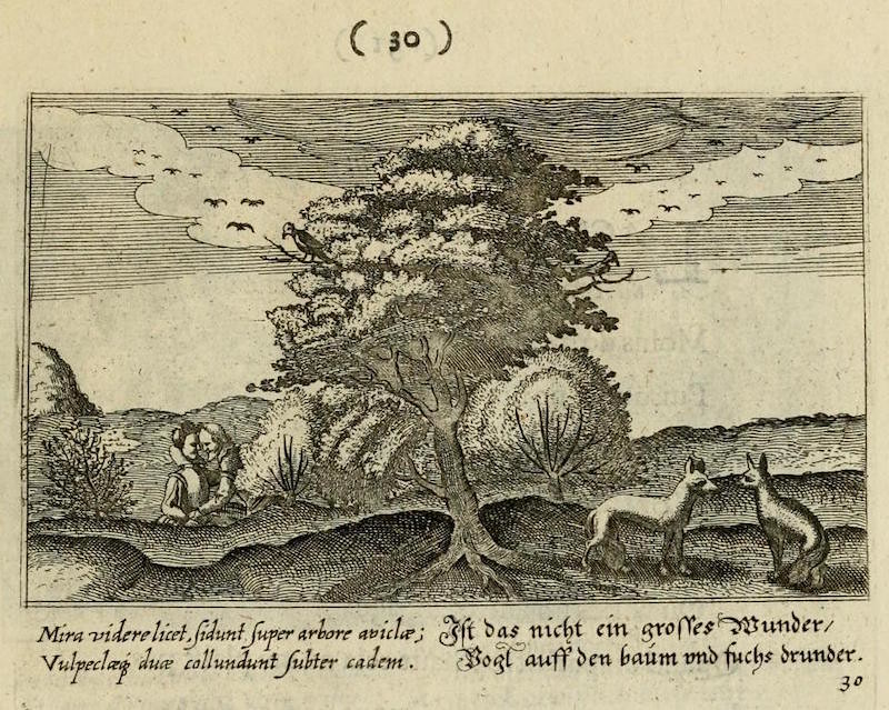 Le Centre de l’Amour (ca. 1687) – The Public Domain Review