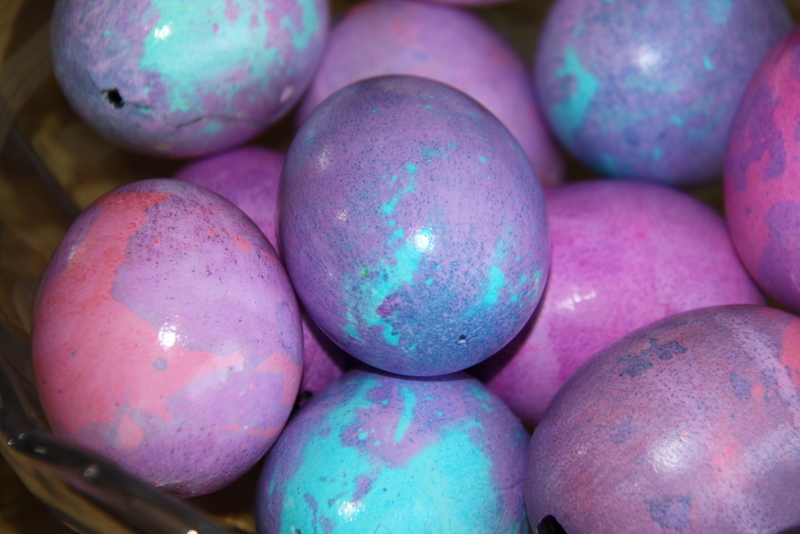 color eggs (14)